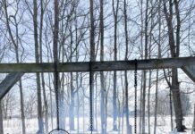 Spring into March: Exciting Events and Experiences Await in Oakville!