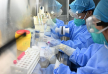 B.C. Cruise Ship Hantavirus Patient Recovers; Other Canadians Remain Symptom-free