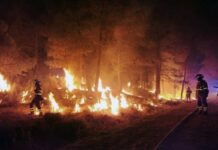 More Than 80,000 Flee Wildfires In France And Spain; Some Evacuated By Boat