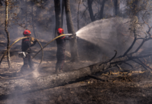 Macron Calls Crisis Talks As Wildfires Force 250,000 To Flee In France
