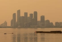 Quebec Gets Reprieve As Conditions Ease Wildfire Fight