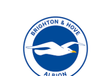 Brighton Sign Canadian Striker Promise David On Season-Long Loan From Union Saint-Gilloise