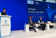 Punjab minister invites UAE investors with fast-track approvals