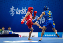Aryan, Roshibina Devi March Into Quarterfinals After Wushu Wins