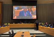 India reaffirms ‘unwavering’ commitment to combating racism, racial discrimination, xenophobia